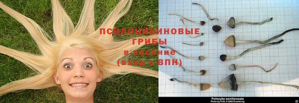 гидропоника Заволжье