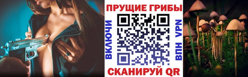 Галлюциногенные грибы MAGIC MUSHROOMS Суровикино