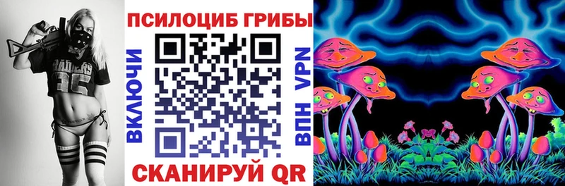 Галлюциногенные грибы Magic Shrooms  магазин продажи   Суровикино 